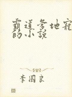 霸道爹地宠又撩的小说