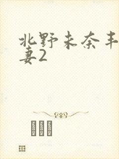 北野未奈丰之人妻2