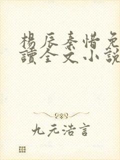 杨辰秦惜免费阅读全文小说封面