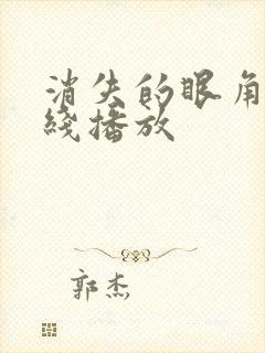 消失的眼角膜在线播放封面