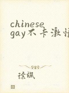 chinesegay不卡激情视频