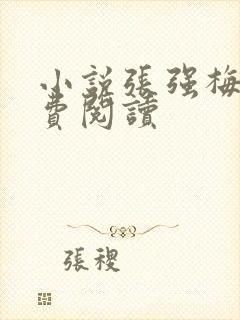 小说张强梅姨免费阅读