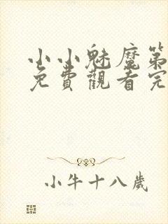 小小魅魔第一季免费观看完整版高清