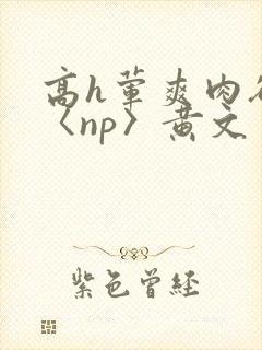 高h荤爽肉欲文〈np〉黄文