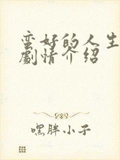 蛮好的人生分集剧情介绍