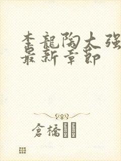 李龙陶大强小说最新章节