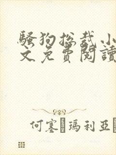 骚狗总裁小说全文免费阅读最新章节