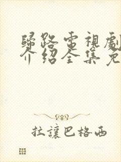 归路电视剧剧情介绍全集免费观看封面