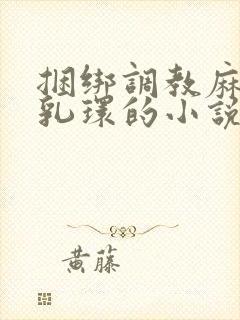 捆绑调教麻麻穿乳环的小说封面