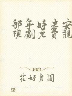 那年时光安好电视剧免费观看全集