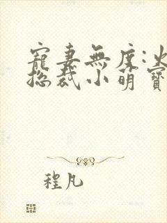 宠妻无度:火爆总裁小萌宝