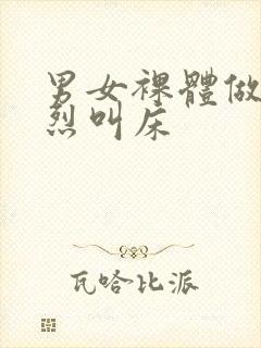 男女裸体做爰猛烈叫床