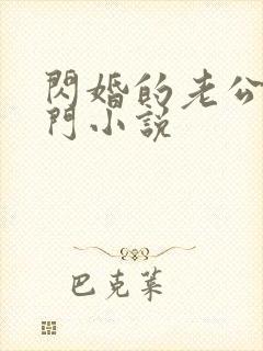 闪婚的老公是豪门小说封面