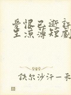 爱恨已逝许我半生凉薄短剧全集免费观看