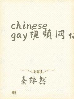 chinesegay视频网站
