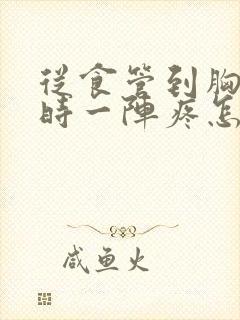 从食管到胸口有时一阵疼怎么回事