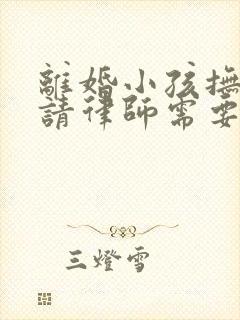 离婚小孩抚养权请律师需要多少钱