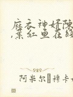 麻衣神婿陈黄皮,叶红鱼在线免费阅读