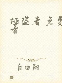 极盗者 免费观看