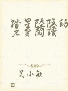 踏星陆隐的小说免费阅读