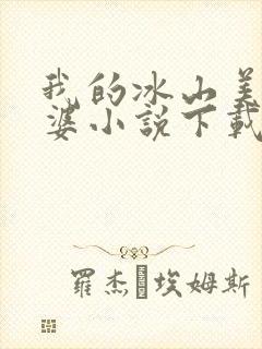 我的冰山美女老婆小说下载封面