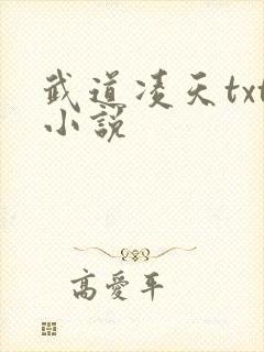 武道凌天txt小说