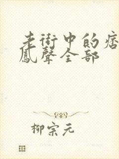 老街中的痞子赵凤声全部