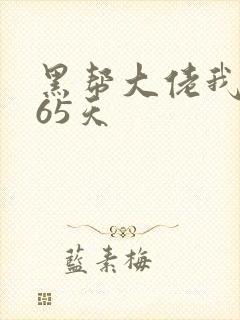 黑帮大佬我的365天