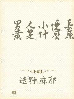 男人小便长期尿黄是什么原因