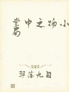 掌中之物小说结局封面