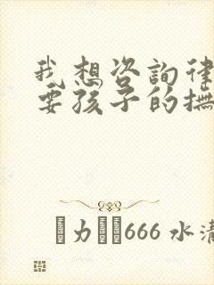 我想咨询律师我要孩子的抚养权问题