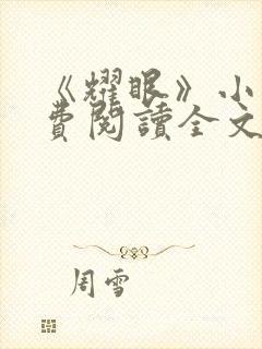 《耀眼》小说免费阅读全文