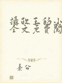 摄政王的小王妃全文免费阅读