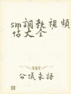 sm调教视频网站大全