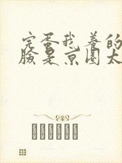 完蛋我养的小白脸是京圈太子爷短剧全集观看