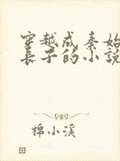 穿越成秦始皇的长子的小说赵浪