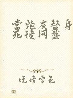 当炮灰替身的我死后网盘