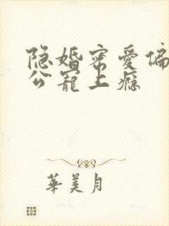 隐婚密爱偏执老公宠上瘾