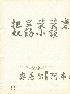 把宁荣荣变成荣奴的小说封面