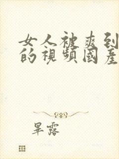 女人被爽到高潮的视频国产免费封面