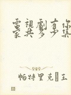 电视剧有你才有家共多少集