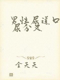 男性尿道口肿大 尿分叉