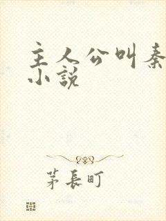 主人公叫秦昊的小说