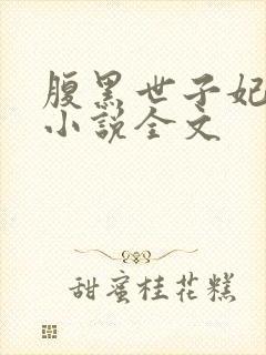 腹黑世子妃日常小说全文封面