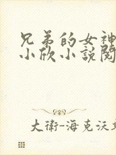 兄弟的女神女友小欣小说阅读