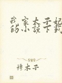 我家太子妃超凶的小说下载