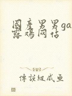 国产男男gay露鸡网站