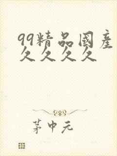 99精品国产久久久久久