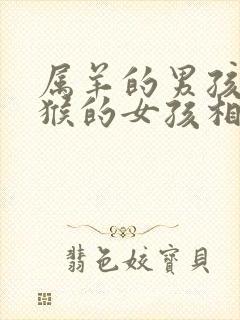 属羊的男孩和属猴的女孩相配吗封面