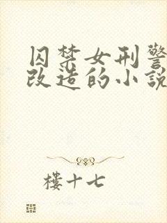 囚禁女刑警卧底改造的小说封面